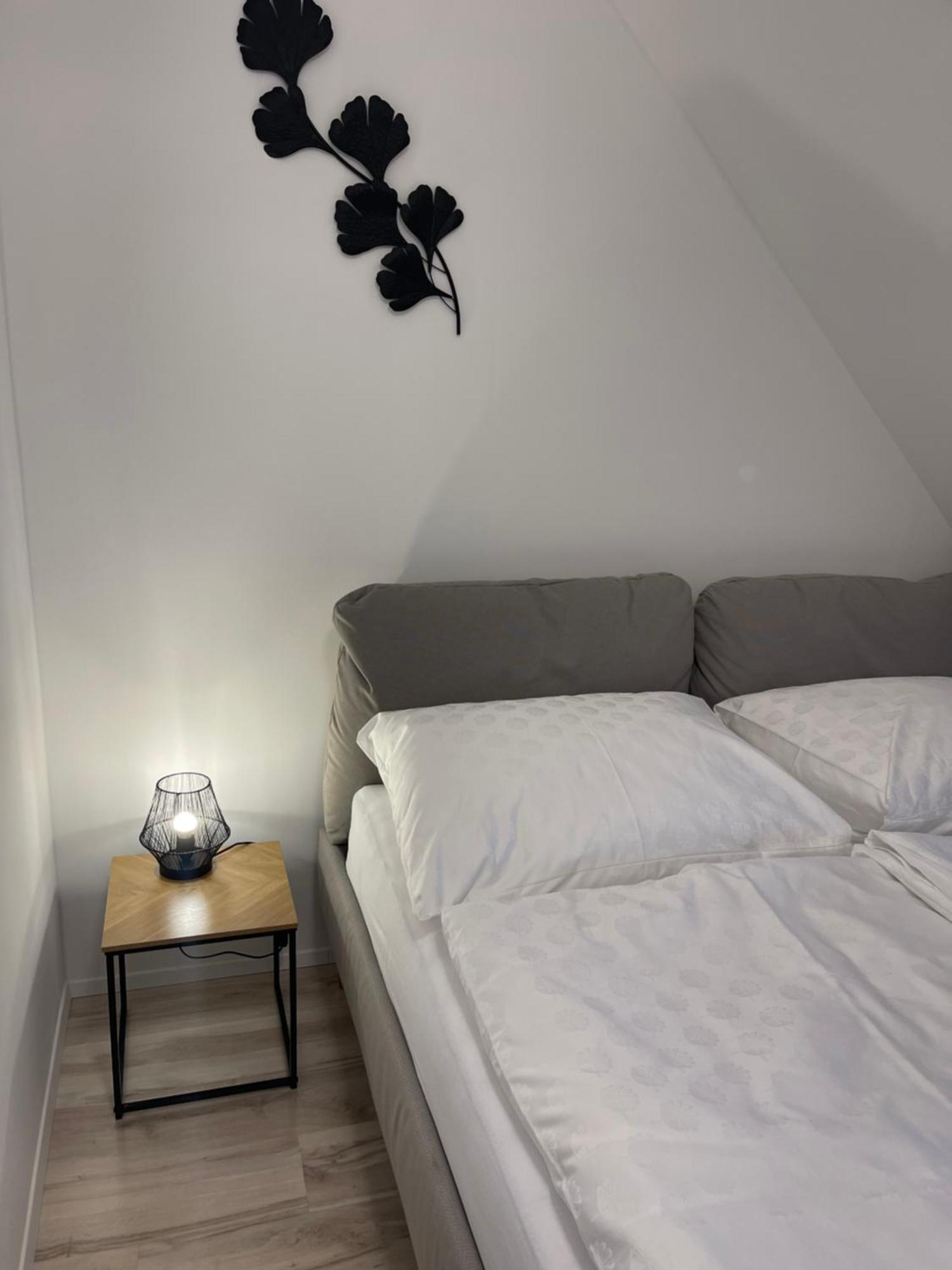 Apartmanovy Dum Jansky Sen Johannisbad Exterior foto